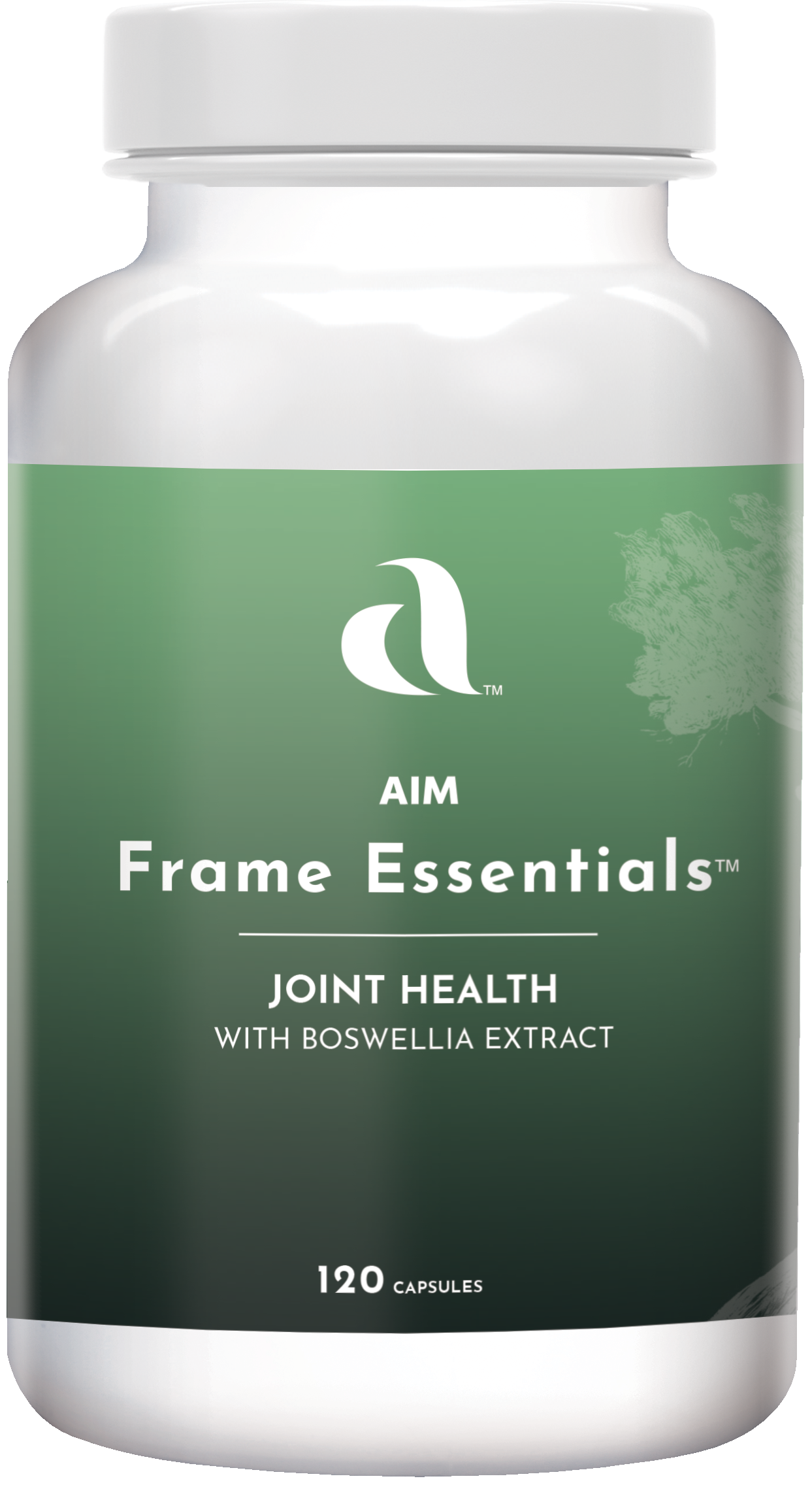 FRAME ESSENTIALS™